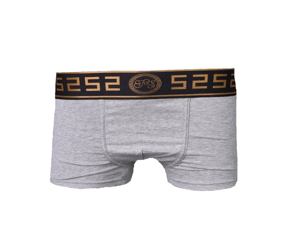 Men's Boxer Trunk - Grey-PRESTIGE STUDIO-MEGASTORES