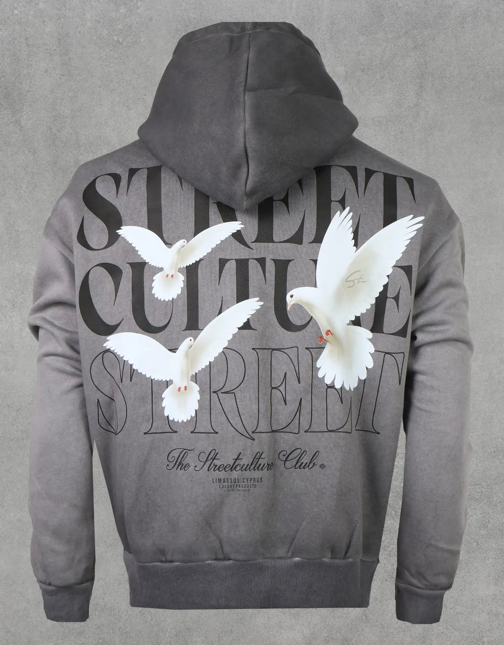 Hoodie Washed